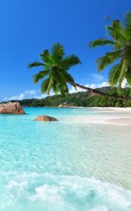 Bahamy